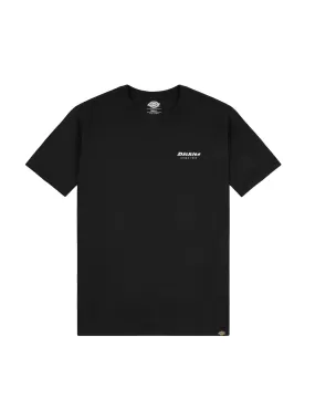 Dickies T-shirt DK0A4X9JBLK1