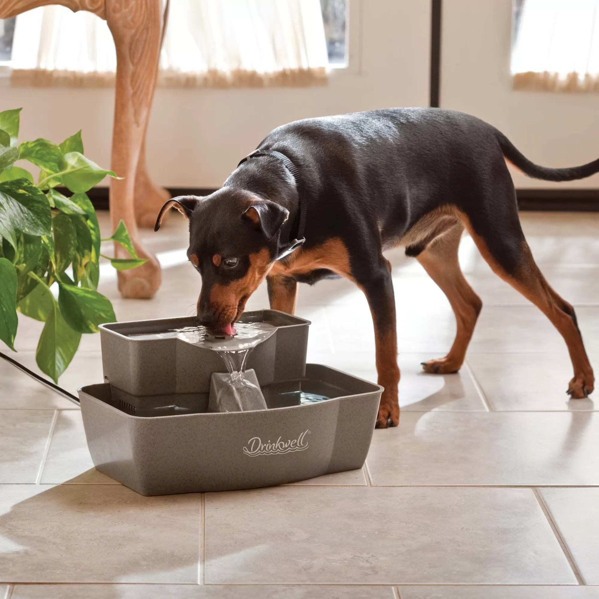 PetSafe Drinkwell Multi-Tier Pet Fountain