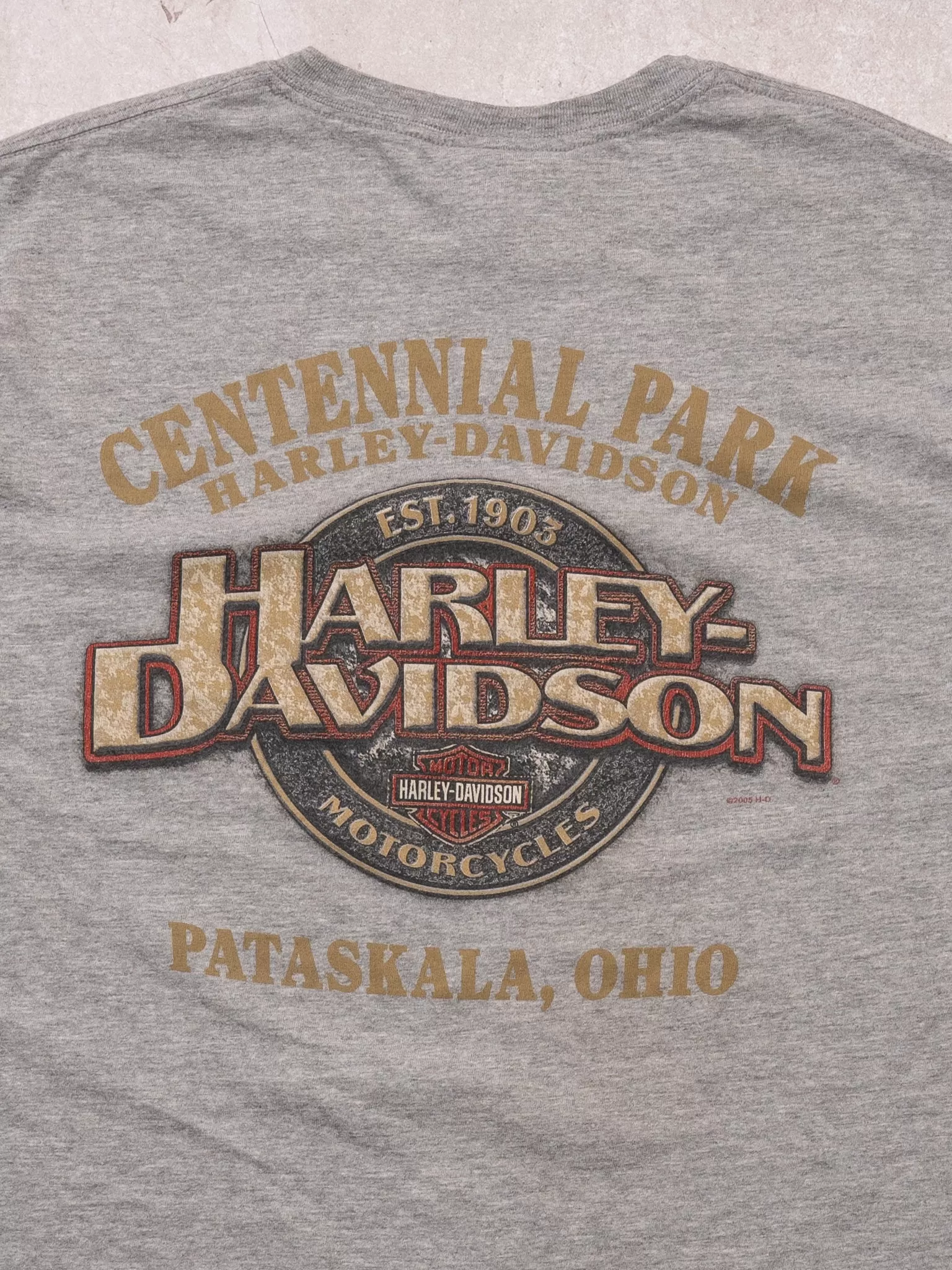 Vintage '05 Grey Harley Davidson Skull Paraskala Ohio Tee (M)