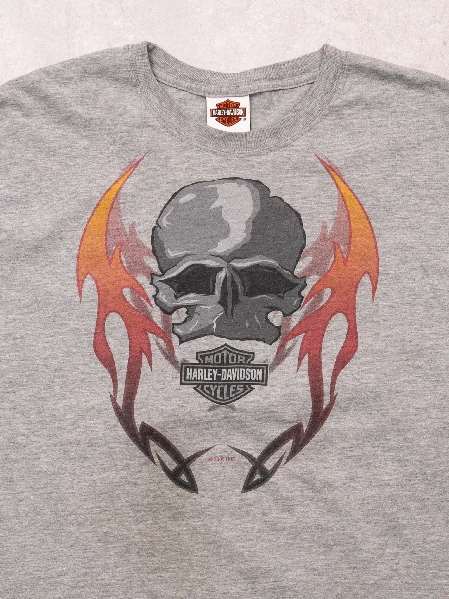 Vintage '05 Grey Harley Davidson Skull Paraskala Ohio Tee (M)