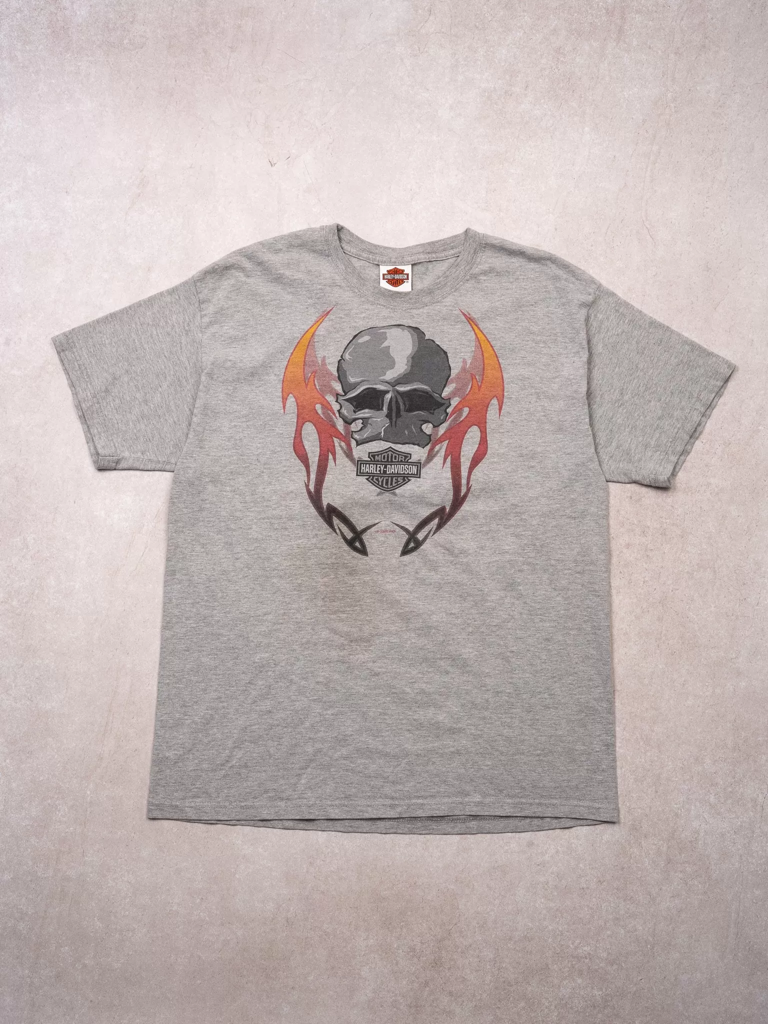 Vintage '05 Grey Harley Davidson Skull Paraskala Ohio Tee (M)