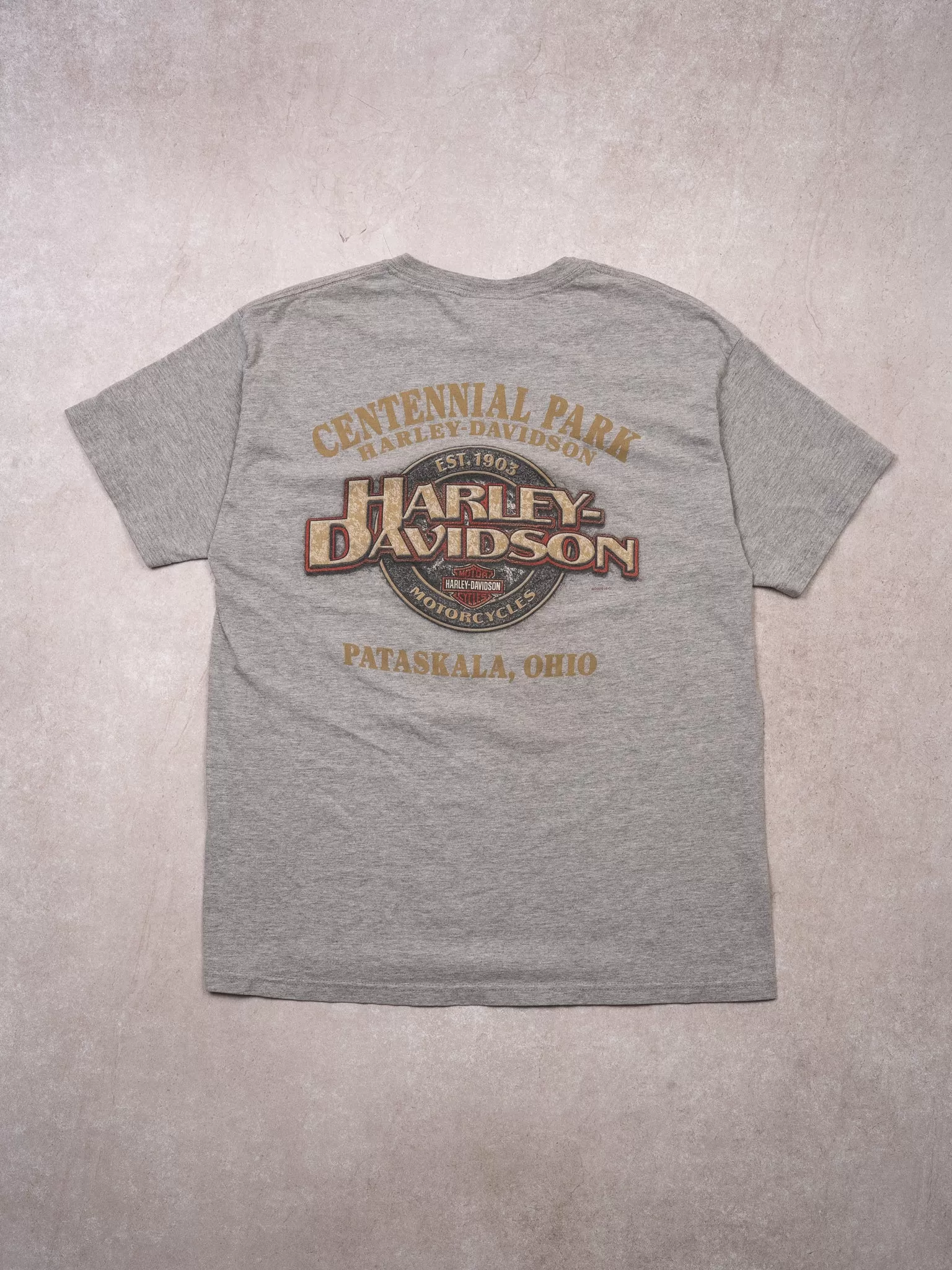 Vintage '05 Grey Harley Davidson Skull Paraskala Ohio Tee (M)